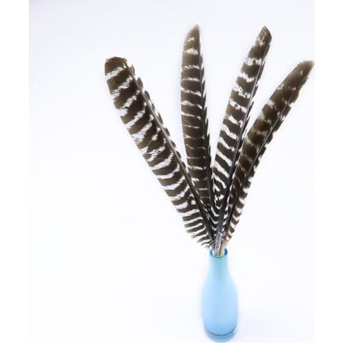 Wholesale 10pcs Natural Turkey Feather DIY Carnival Crafts 30-35Cm Long Plumes Decoration Handiwork Cosplay Feather For Crafts