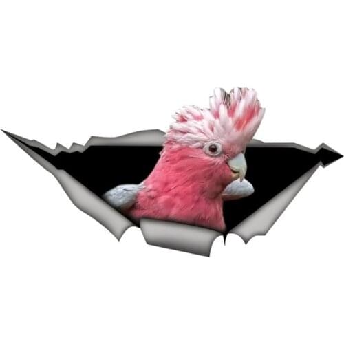 Personality Galah Cockatoo Car Stickers Funny Parrot Decal Waterproof Car Styling Bird Stickers Decoration Apply To Car Window
