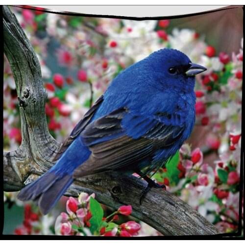 Zeegle Bird Printed Wall Hanging Tapestry Living Room Blanket Bedroom Curtain Cotton Beach Thrown Towel Yoga Mat Table Cloth