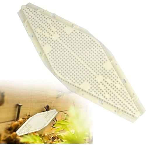 Diamonds Bee Escape Door Plastic Beehive Nest Door Beekeeping Equipment Apiculture Beekeeper Bees