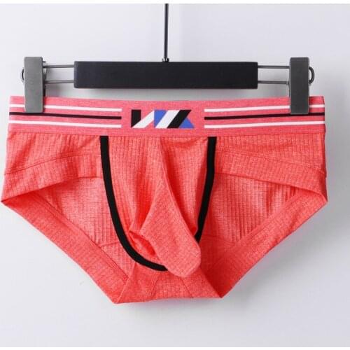 Ice Silk Underwear Low Waist Mens Briefs Pouch Breathable Sexy Elephant Nose Panties Penis Sleeve High Fork Youth Tide