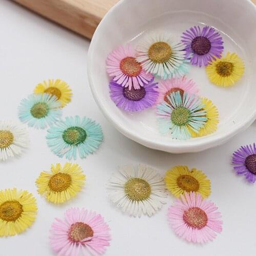 120pcs Pressed Dried Chrysanthemum Flower Plants Herbarium For Wedding Party Home Pendant Necklace Craft DIY Accessories