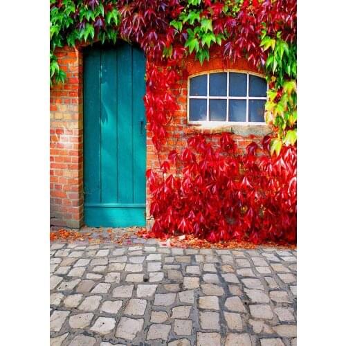 Brick Wall Blue Wooden Door Leaves Photographic Background for Vinyl Backdrop Photo Studio for Children Baby Portrait Photophone