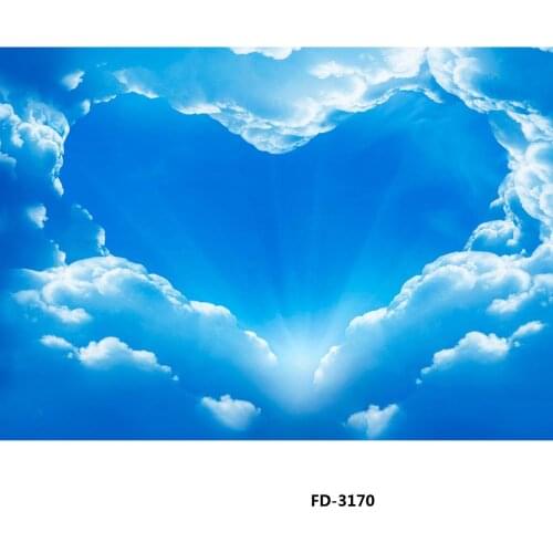 Vinyl Custom Photography Backdrops Prop Children Scenery Photography Background #21113