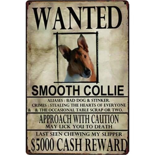 [ Kelly66 ] Smooth Colle Dogs Wanied Metal Sign Tin Poster Home Decor Bar Wall Art Painting 20*30 CM Size y-2086