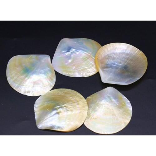 1pcs Natural Shell Pendants Summer Sea Shell high quality for Tribe Jewelry Making DIY Necklace Gift for Women