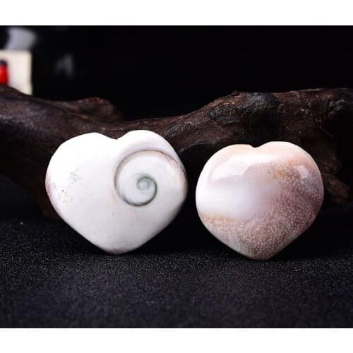 1PC Natural Heart Shaped Shell Fossil Sun Shell Healing Energy Stone Reiki Mineral Specimen Collection Home Decoration DIY Gift