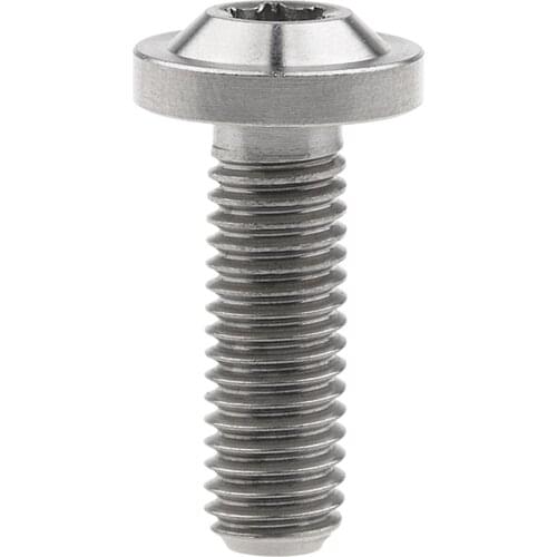 Xingxi Titanium M6x25mm Torx Head Bolt Screw for Bike Motorcycle Ti Fasteners