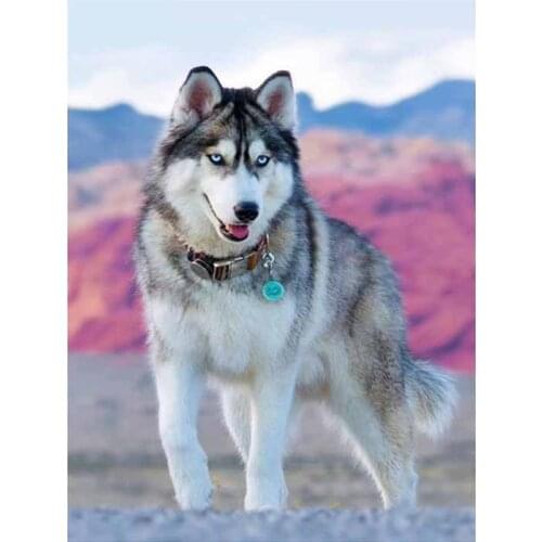 5D Diy Diamond Painting Animal dog 3D Diamond Mosaic Full Square/round Rhinestone Diamond Embroidery Husky home decoration TY869