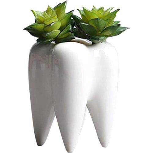 Teeth Shape Flowerpot Innovation White Ceramic Succulent Flower Pot Modern Design Home Decoration Does Not Include Plants