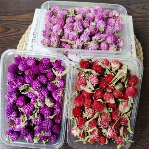 Resin Mold Fillings Dried Flower UV Expoxy Flower For Epoxy Resin Molds Jewelry Making Craft DIY Accessories