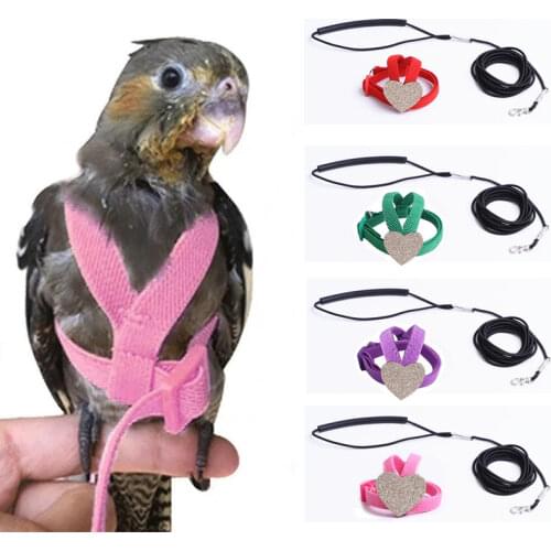 Hoopreety Bird Rings