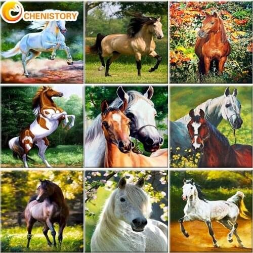 CHENISTORY Horse Painting By Number Animal Diy Kits On Canvas With Frame Oil Picture Drawing Coloring Paint By Number Decor Art