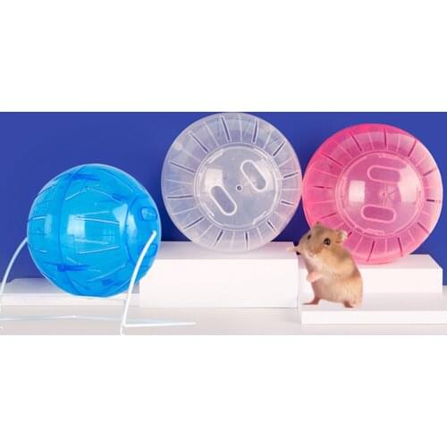 Plastic Outdoor Sport Ball Rat Toys Pet For Small Pet Hamster Gerbil Rat Exercise Balls Play Toys Rodent Mice Jogging Ball Toy