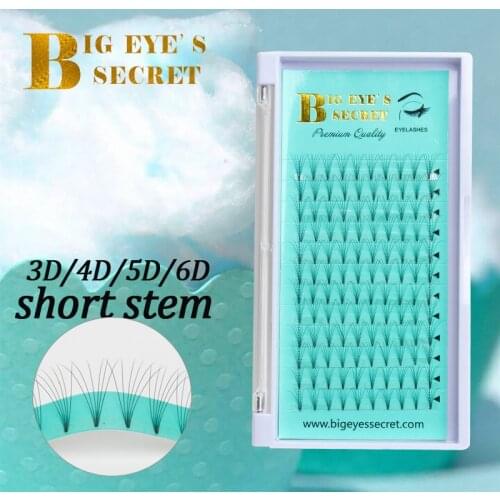 Big eyes secret Lashes Pre Made Fans Short Stem Volume Lash Extensions Handmade Synthetic Lashes Premade Fans Eyelash Extension