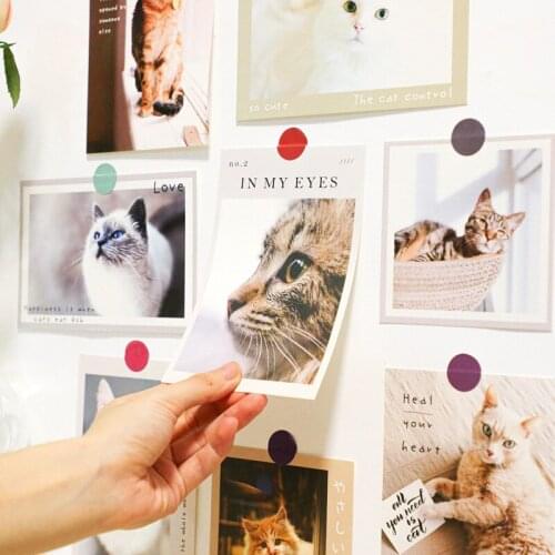 Cat and dog pet poster wall with cute rabbit animal postcards room decoration accessories pet shop decoration