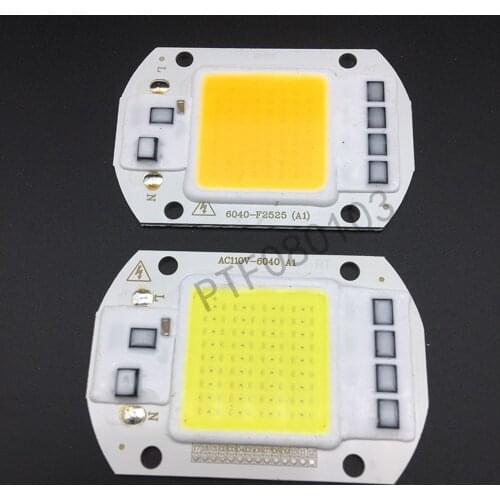 10pcs LED COB Lamp 20W 30W 50W Real AC 110V 220V IP65 Smart IC DIY LED Bulb Flood Light Spotlight For Projectors Driver Light