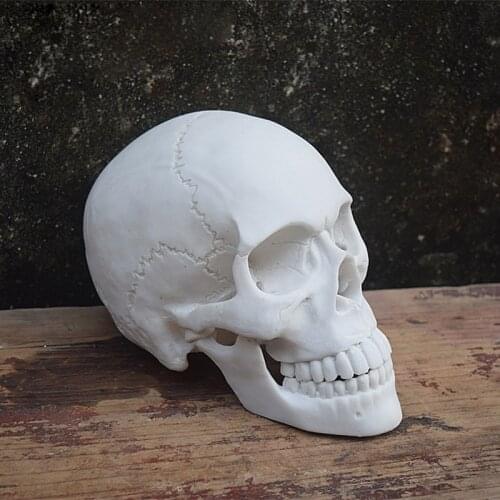 Free Shipping!! Artificial Human Skull Model Resin Skeleton Head Mannequin Hot Sale