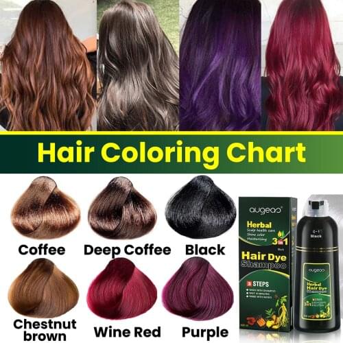 10 Mins 500ml Herbal Hair Darkening processed refreshing anti-dandruff hair shampoo Hotsale Control Frizz Natural Ginger Extrac