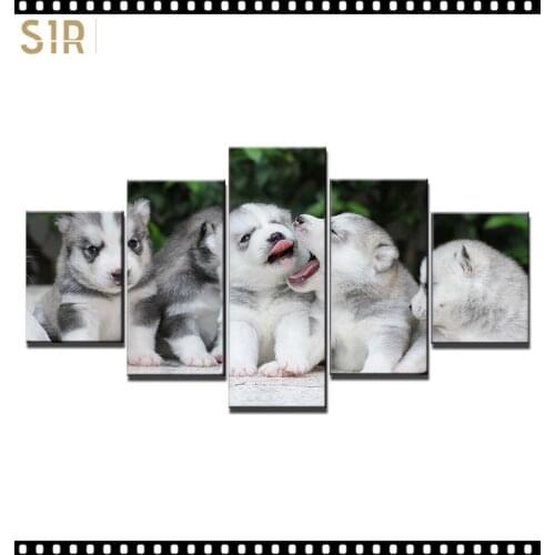 HD 5 Pieces Cute Pet Dog Pictures Posters Wall HD Art Home Decor for Living Room Painting on The Wall Pet Dog Pictures Wall Art