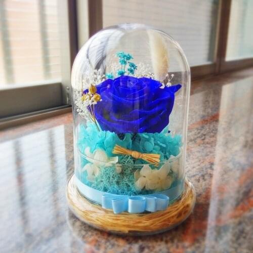 12*15cm Glass Base Glass Dome Vase Home Decoration Diameter=12cm Height=15cm Glass Cover Vase Friend Gift Wedding Decoration