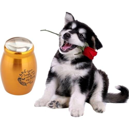 Small Keepsake Urn for Pet Ashes Human Ashes Mini Cremation Urns for Human Ashes Holder Burial Funeral Urns