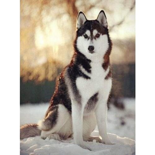 Full Diamond Embroidery 5D DIY Diamond Painting "Winter Snow Husky Dog" Cross Stitch Picutre Of Mosaic Craft Home Decoration