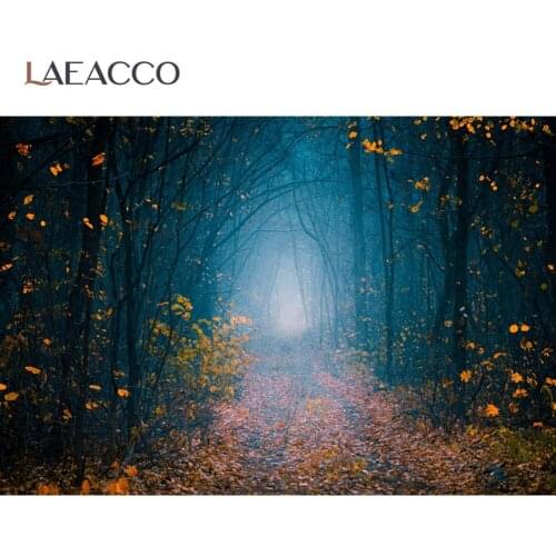 Laeacco Footpath Pathway In Beautiful Foggy Autumn Forest Tree Yellow Fallen Tree Leaves Scenic Photo Backdrop Photo Background