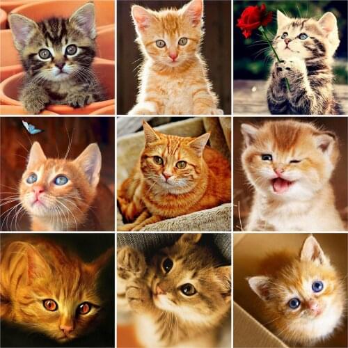 HUACAN 5D DIY Diamond Painting Cat Full Square Round Drill Diamond Embroidery Animal Diamond Mosaic Cross Stitch Kit Home Decor