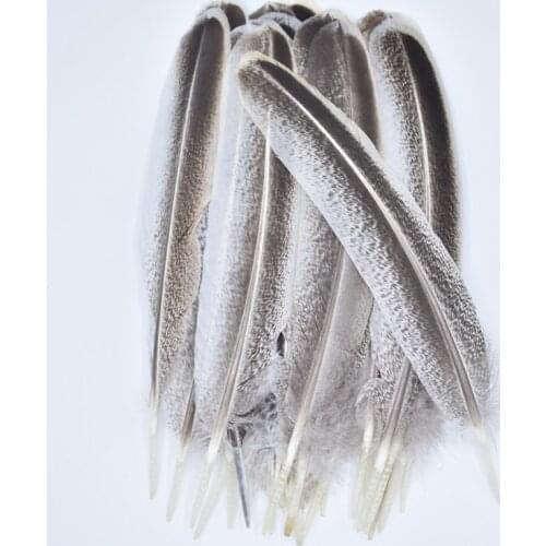 10Pcs/Lot Natural Eagle Feathers for Crafts Feathers Decoration Carnaval Plumas Carnaval Feathers Decoration Feather Decor Diy