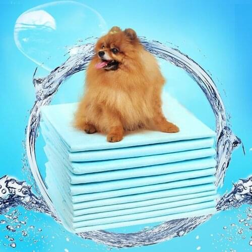 20Pcs Pet Diapers Super Absorbent Dog Urine Pad Diapers For Puppy Cleaning Deodorant Diapers Dog Pee Pad Rabbit Pet Supplies