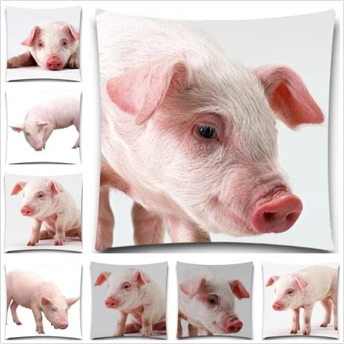 A full picture of a pig 2D print creative Pillow case Square cotton polyester cushion cover 5 size 9 style