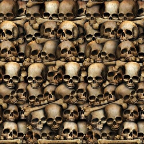 Halloween dungeon wall catacombs skull bones photography backgrounds High quality Computer print party backdrop