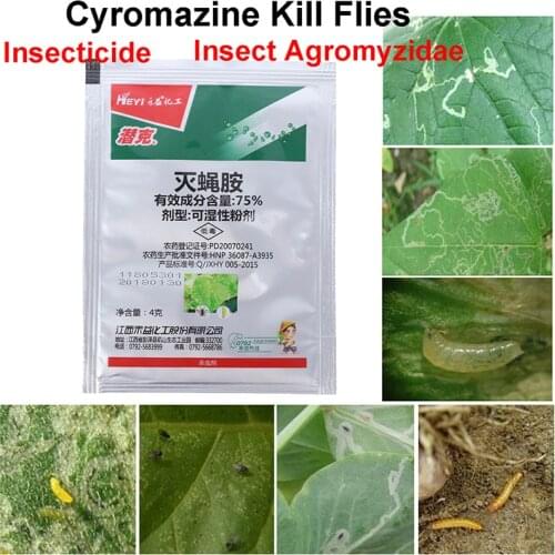 TPXCKz Garden Sprayers China