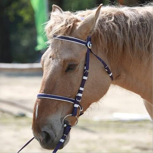 Harness supplies PVC single nose ring bridle horse bridle waterproof dirt-resistant speed racing water reins