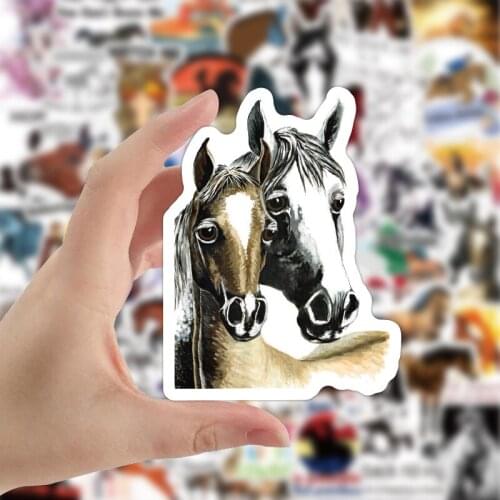 10/30/50pcs New Equestrian Skateboard Fridge Glasses Suitcase Phone Laptop Pencil Cases Luggage Stickers Home Decor