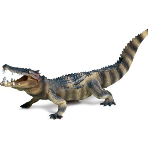 BoarCroc Animal Figure Collectible Toys Wild Animal Cognition Action Figures Kids Plastic Cement Toys