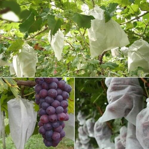 20pcs/set New Non-woven Fabrics Bird Bees Insect Repenller Film Fruit Grape Protector Pest Control Organic Fruit Plant Cover Bag