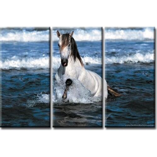3 pieces / sets Framed Animal horse series canvas wall art painting home decoration living room canvas print modern painting