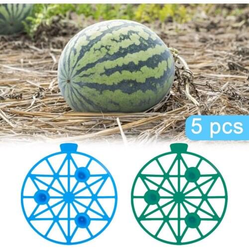 Hot 5pcs Plastic Watermelon Cradle Potato Strawberry Planter Planting Container Multi-mouth Container Holder Support Protector