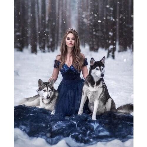 Diy diamond embroidery cross stitch Elves girls and husky diamond painting full square picture of rhinestones home decor C428