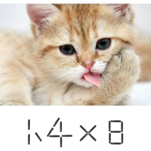 ISO11784 40pcs Biochemical Glass Chip 1.4*8mm 2*12mm Dog Id Tag Rfid Pet Microchip 1.25*7