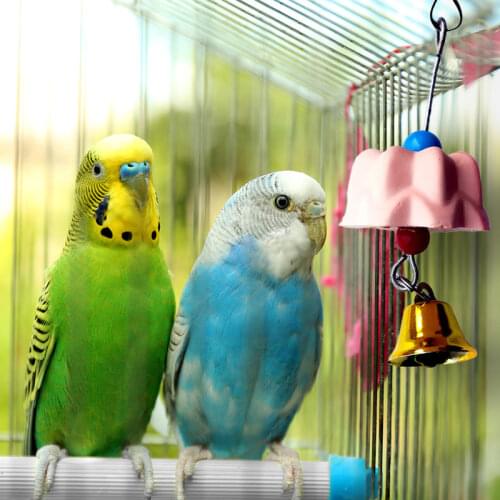 1PC Flower Shaped Parrot Pet Bird Teeth Care Toy Calcium Milk Grinding Stone Parrot Chew Toy Randomly Color Parrot Bird Toys