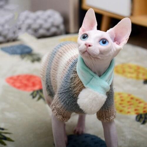 Pet Cat Handmade Cat Sweater Sphinx Hairless Rainbow Style Cat Clothes Velvet Kitten Clothes