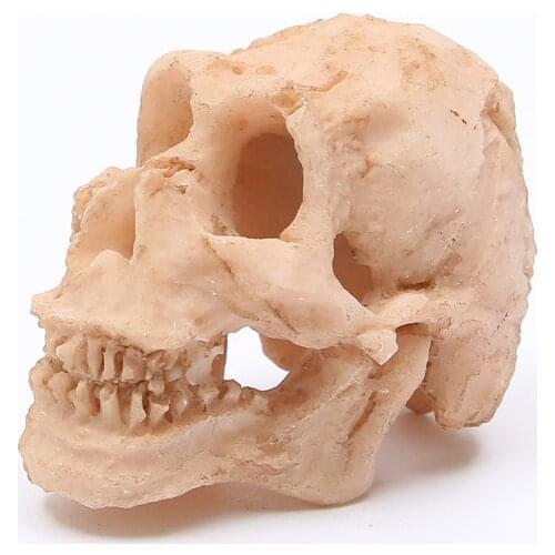 HeyMamba Resin Craft Fish Tank Decoration Small Resin Skull Statues Home Bar Decoration Skull Sculpture