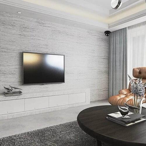 Dummy CCTV Security Surveillance Dome Fake Camera with LED Light for Outdoor Indoor Use JR Deals