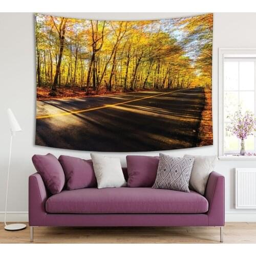 Tapestry Sunburst Shines Through Colored Trees Casting Long Shadows Across Rural Road Autumn Orange Green View