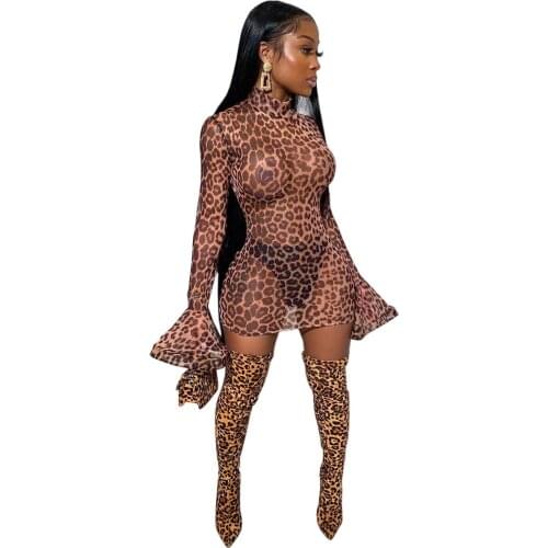 Sexy Leopard Print Sheer Mesh Flare Sleeveless Bodycon See Through Club Party Dress