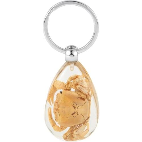Scorpion Crab Insect Transparent Resin Key Chain Handmade Resin Natural Green Beetle Pendant Key Ring Unique Key for Woman Man