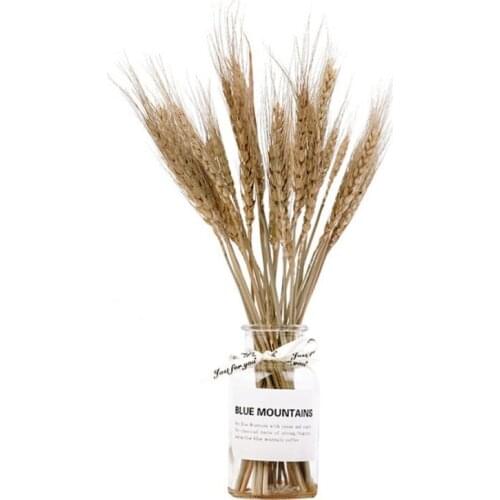 Natural Dried Cotton Flower Artificial Plants Flowers Colorfull Wheat Ear Flower Bouquet Long Bunches Base Wedding Decoration